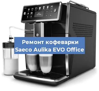 Чистка кофемашины Saeco Aulika EVO Office от кофейных масел в Волгограде